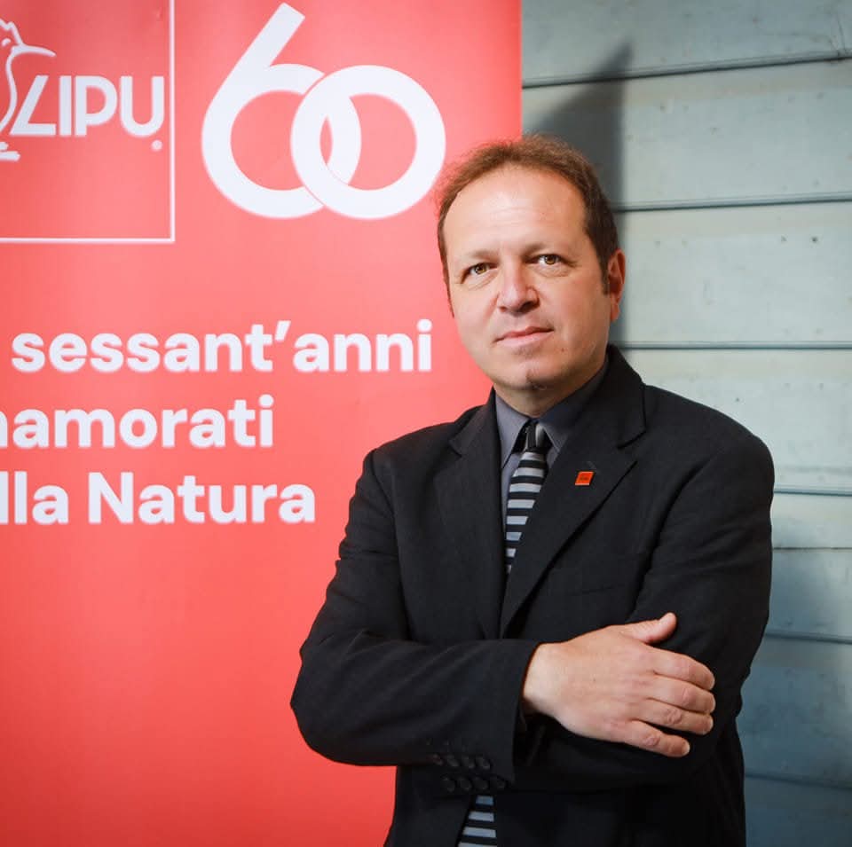 Alessandro Polinori presenta "Ali e Colori"